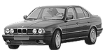 BMW E34 C2010 Fault Code