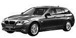 BMW F11 C2010 Fault Code